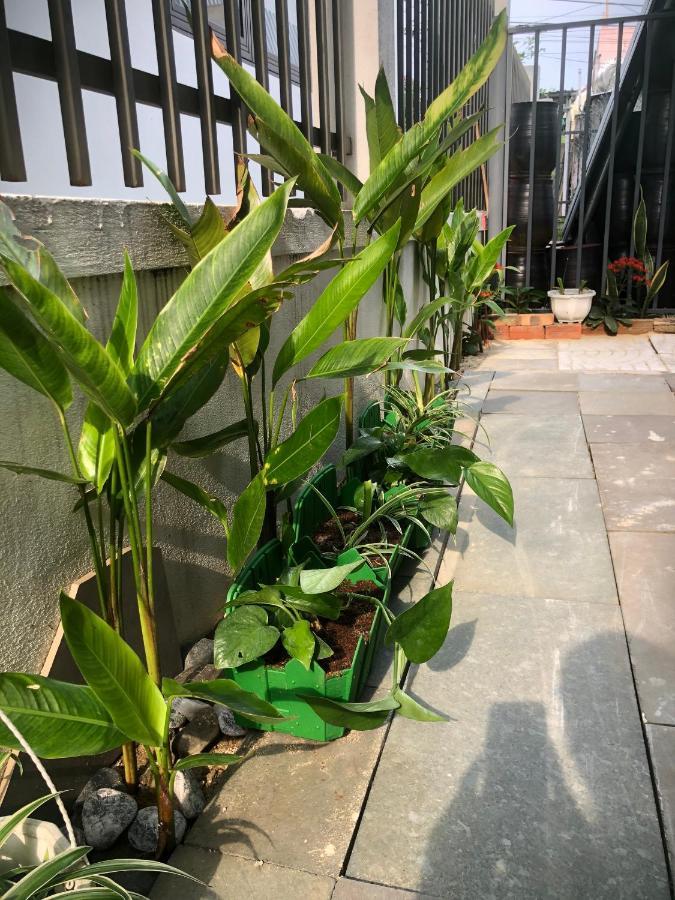 הוי אן Homestay Phuong House מראה חיצוני תמונה