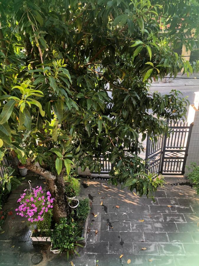 הוי אן Homestay Phuong House מראה חיצוני תמונה