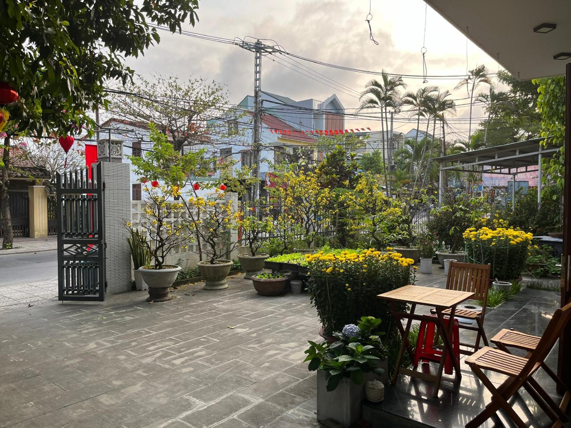 הוי אן Homestay Phuong House מראה חיצוני תמונה