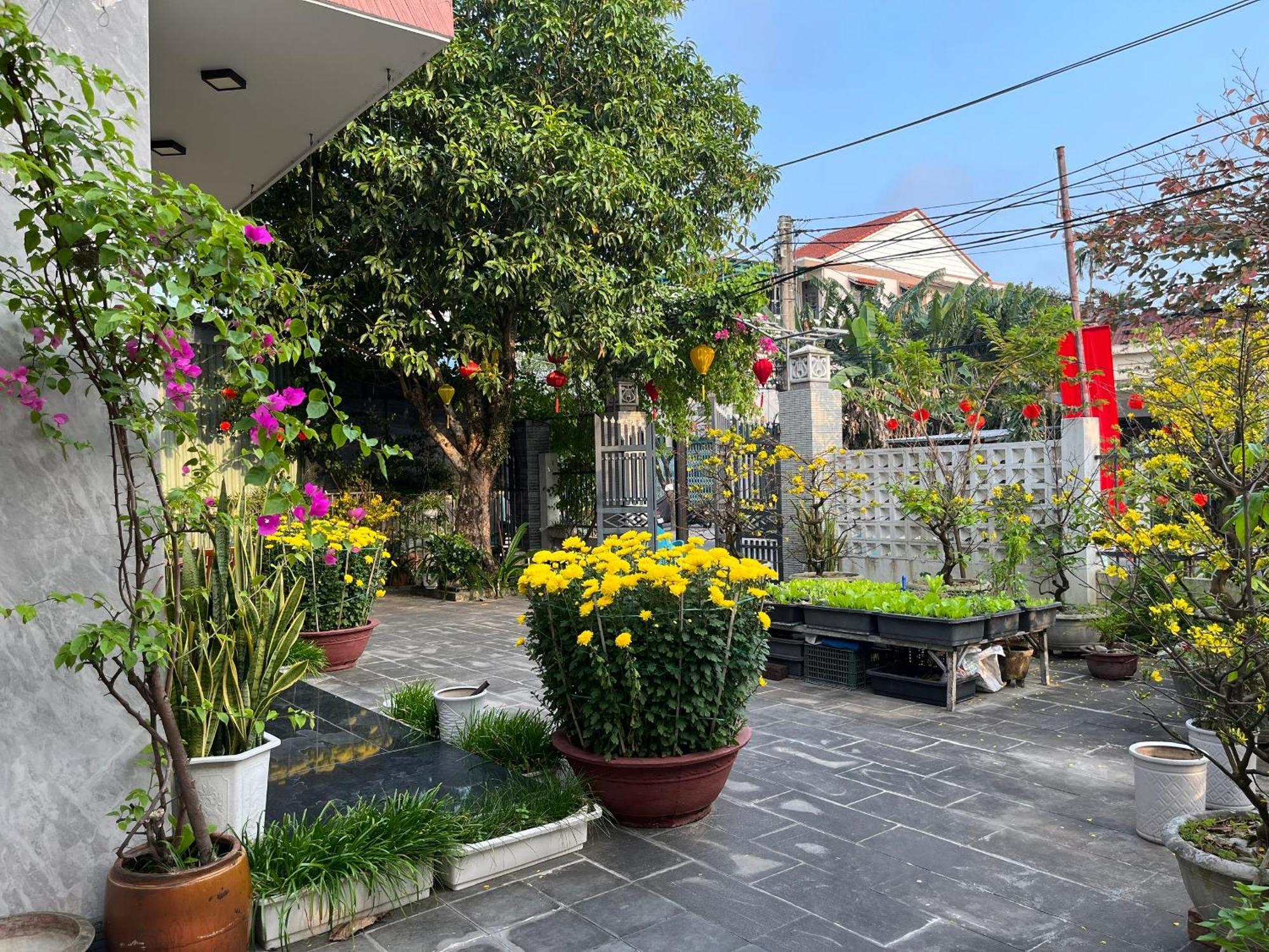 הוי אן Homestay Phuong House מראה חיצוני תמונה